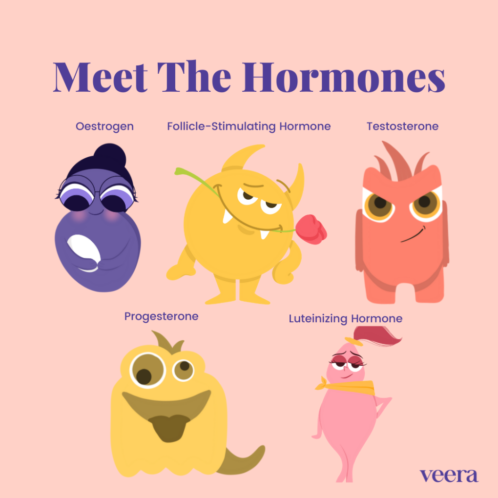 Understanding Oestrogen, Progesterone & Their Sister Hormones